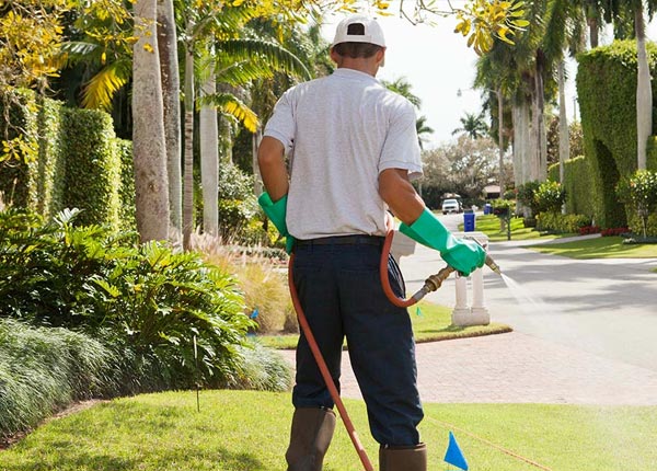 About Baudette MN Pest Control